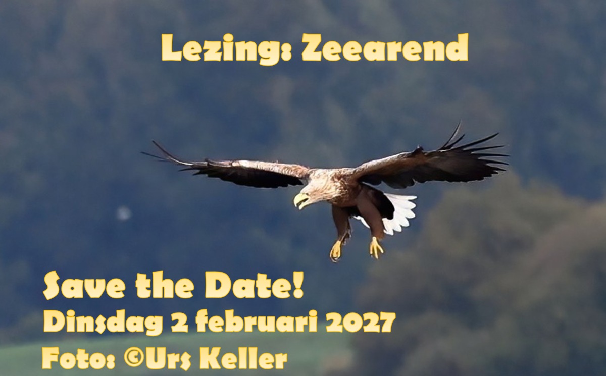 Natuuravond – Lezing Zeearend